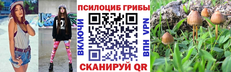 Псилоцибиновые грибы мицелий  Купить  Ворсма 
